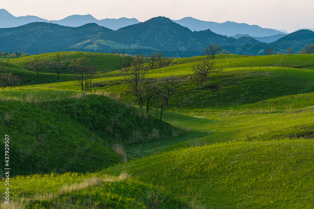 Obraz premium 阿蘇 新緑の外輪山の夕焼け