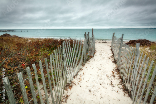 Fence on the beach in Falmouth, Massachusetts photo