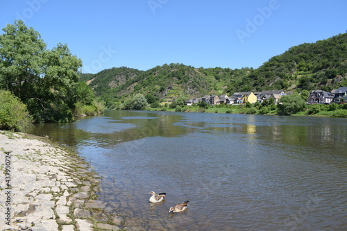 Blick auf Dieblich, Mosel photo