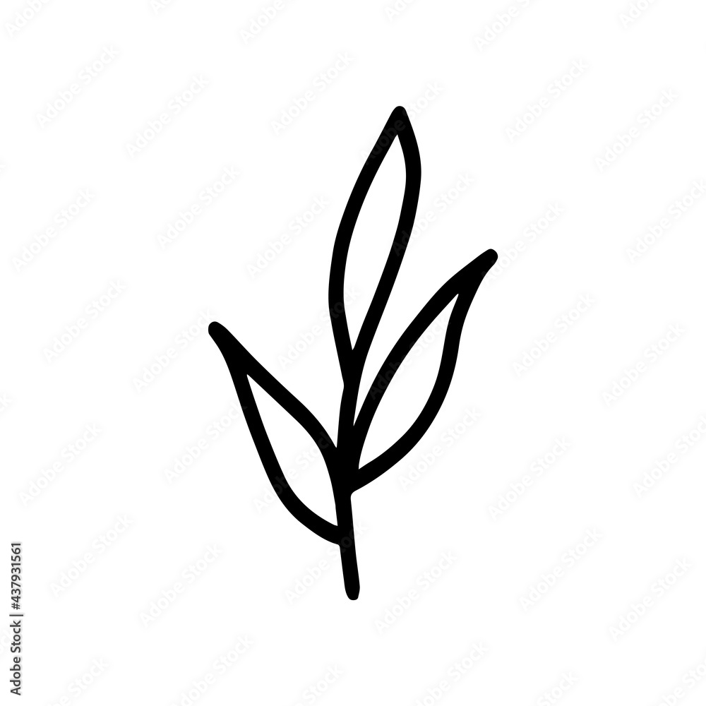 Obraz premium Hand-drawn botanical element on white background. Black plant doodle vector.