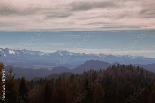mountain peaks with dark brown forest and cloudy skies