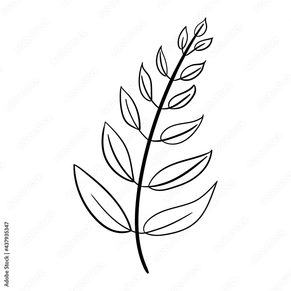 Ecology leaf concept. Isolated on white background. Vector botanical illustration. Hand-drawn doodle floral elements. Spring and summer flower and plant vector in line art outline style. 
