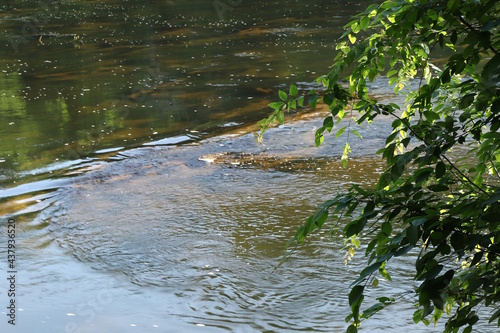 River Closeup  with greenery