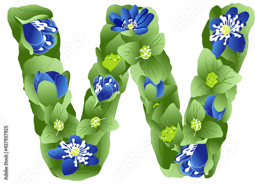vector image of the letter W of the English alphabet made in the form of flowers and leaves of liverwort