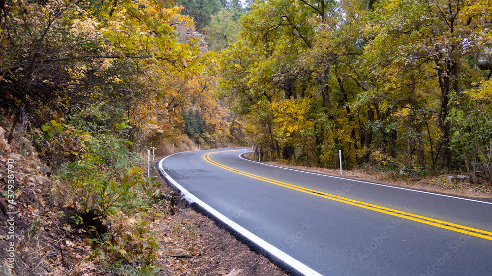 Fototapeta premium Open Road Landscapes