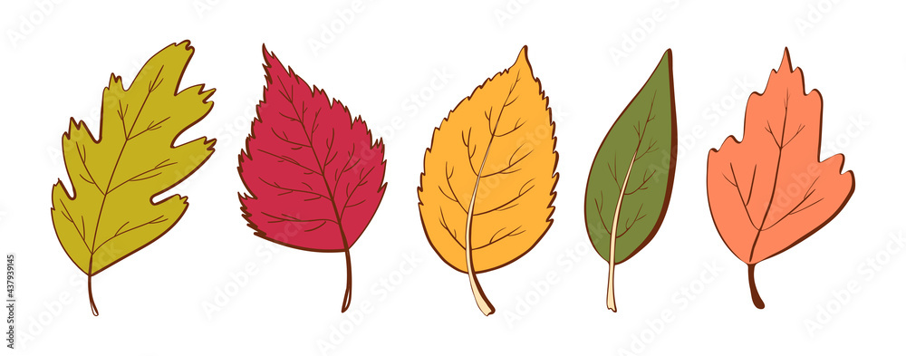 Obraz premium Ecology leaf concept. Isolated on white background. Vector botanical illustration. Hand-drawn doodle floral elements. Spring and summer flower and plant vector in line art outline style. 