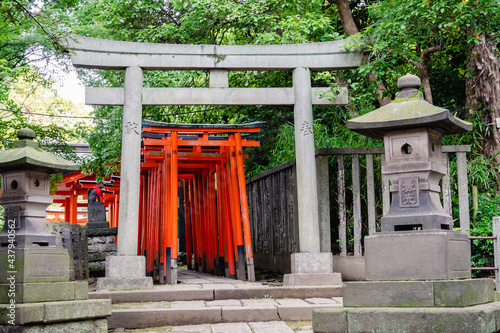 根津神社　赤い鳥居 photo