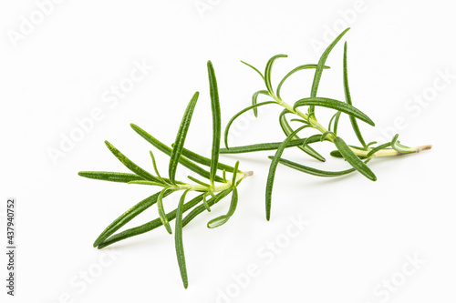 Branches of fresh rosemary close-up isolated on white background.