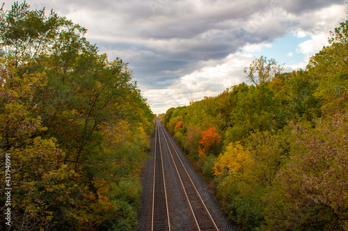 train tracks in the middle of the forest in autumn