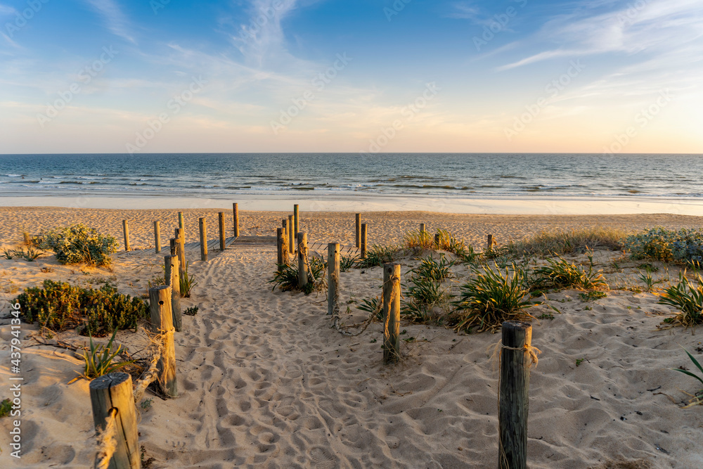 Wide sandy Faro beach with dunes and walkways by the sunset, Algarve, Portugal