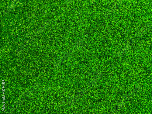 Green grass texture background grass garden  concept used for making green background football pitch, Grass Golf,  green lawn pattern textured background. © Sittipol 