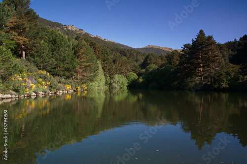 Fototapeta Naklejka Na Ścianę i Meble -  krajobraz góry jezioro wiosna niebo nienieskie natura drzewa