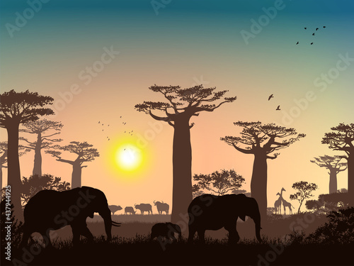 African landscape. Grass, trees, birds, animals silhouettes. Abstract nature background.