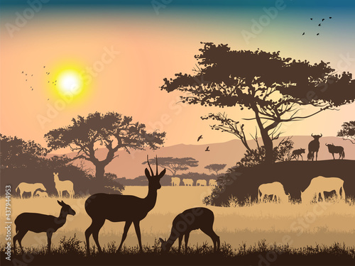 African landscape. Grass  trees  birds  animals silhouettes. Abstract nature background.