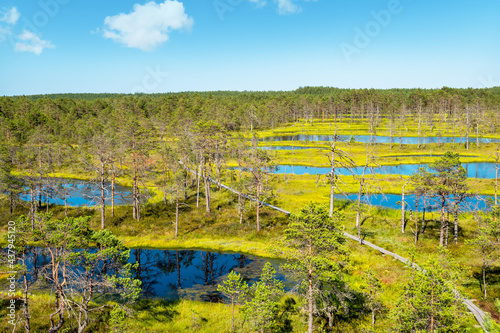 Viru Bog area view. Estonia, Baltic States