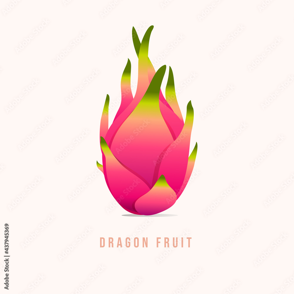 Dragon fruit Modern style vector illustration.