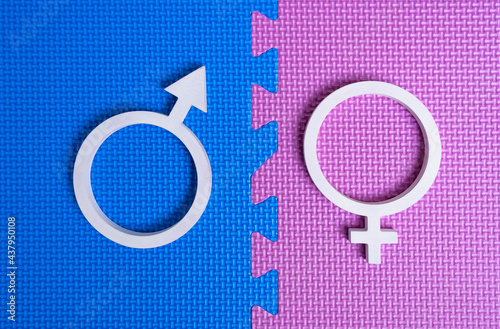 Male and female symbol on a blue and pink puzzle.