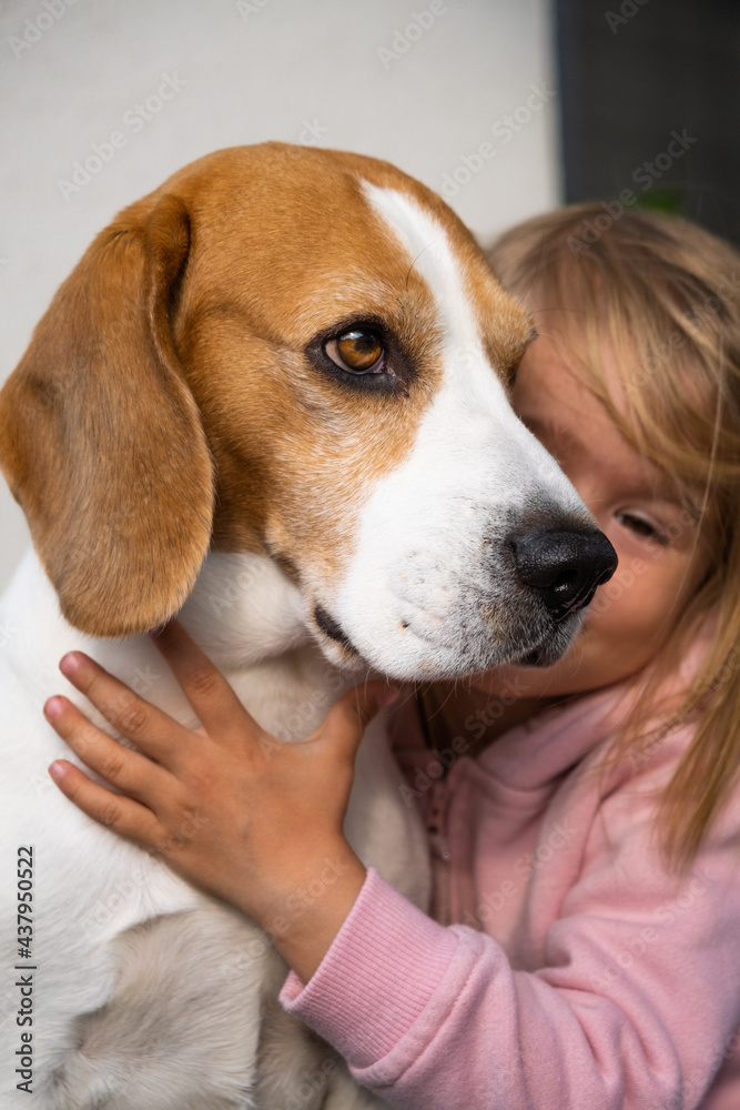 2 year old child hugging best friend dog. Happy childhood with pet Beagle. Dog background