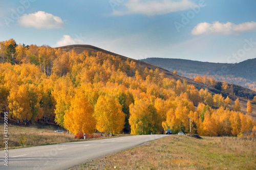 Road to the mountains with yellow trees