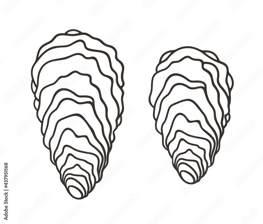 Fototapeta premium Oyster outline. Isolated oyster on white background