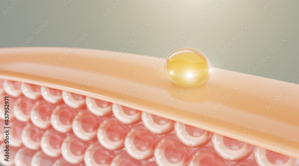 serum and vitamin drop on skin cell. serum through the skin layer and ...