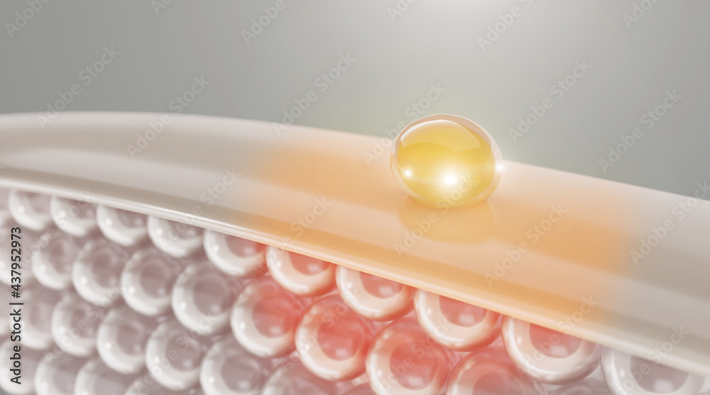 serum and vitamin drop on skin cell. serum through the skin layer and ...