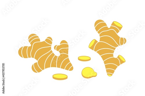 Ginger logo. Isolated ginger on white background