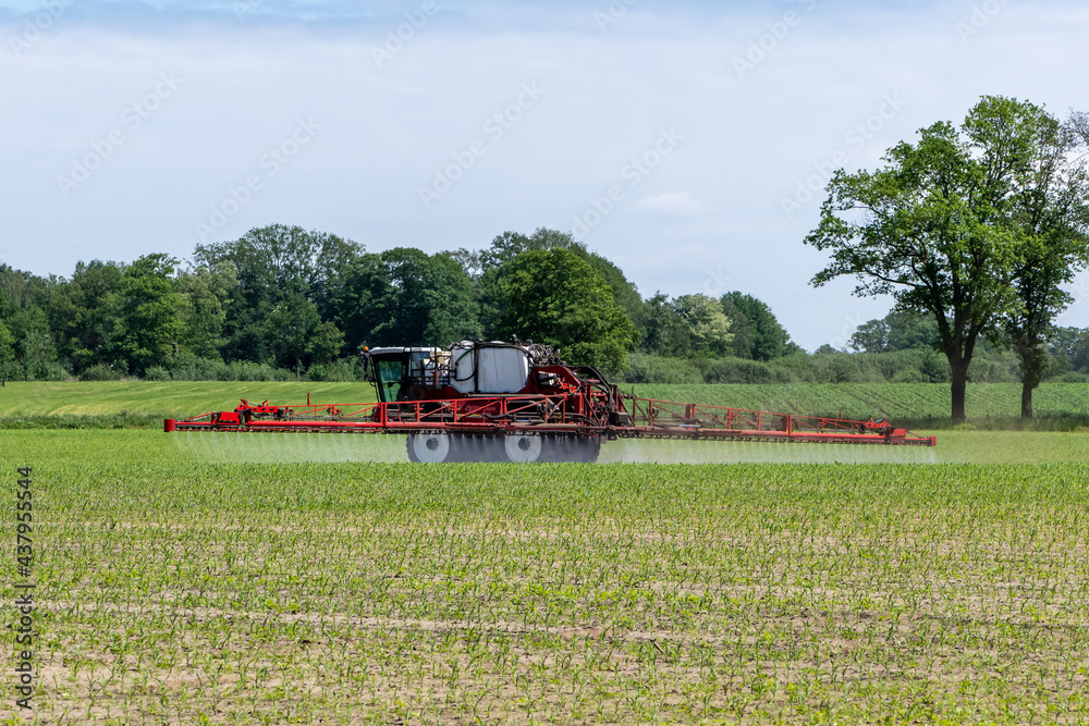 Fototapeta premium Agricultural sprayer treated just emerging corn