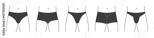 Different types of men's underpants or swimming trunks. Collection of lingerie front view. Vector illustration