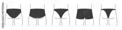 Different types of men's underpants or swimming trunks. Collection of lingerie back view. Vector illustration