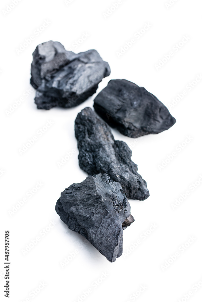 Obraz premium The black charcoal