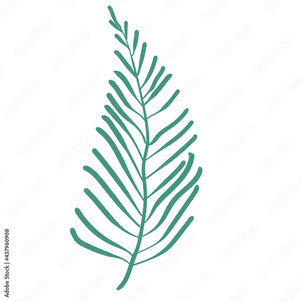 Set of leaves monstera. tropical leaves on a white background. jungle leaves. stock vector illustration with elements for leaf design. Set of leaves monstera. tropical leaves on a white background. jungle leaves. stock vector illustration with elements for leaf design.