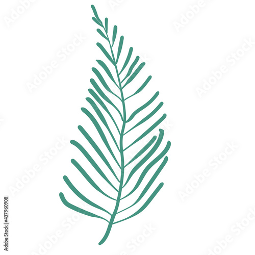 Set of leaves monstera. tropical leaves on a white background. jungle leaves. stock vector illustration with elements for leaf design.
