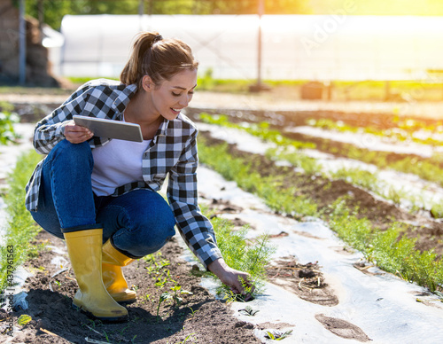 Young agronomist crouching in field with plant foil holding tablet picking anise. photo