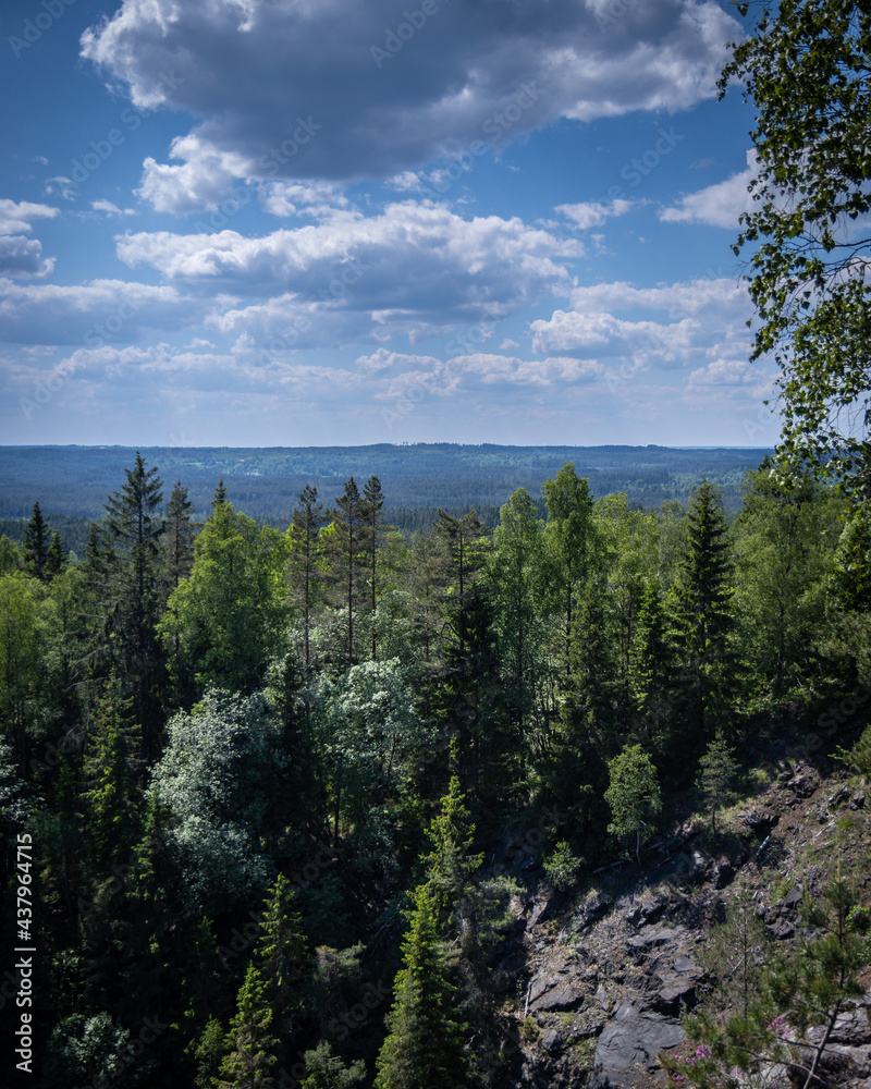 Obraz premium Swedish forest mountain view