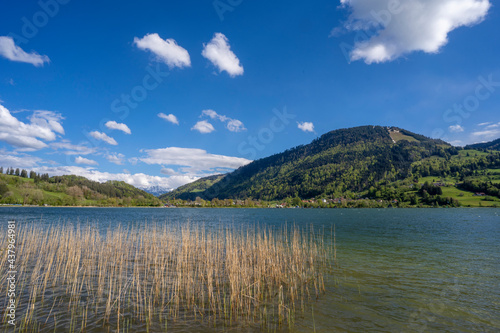 tranquil landscape in early...