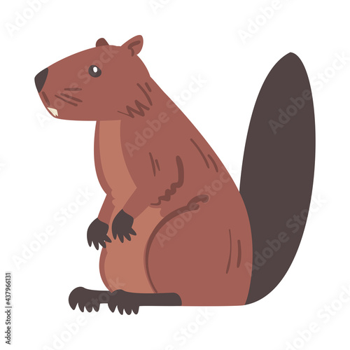 Side View of Brown Beaver, Wild Rodent Animal Cartoon Vector Illustration
