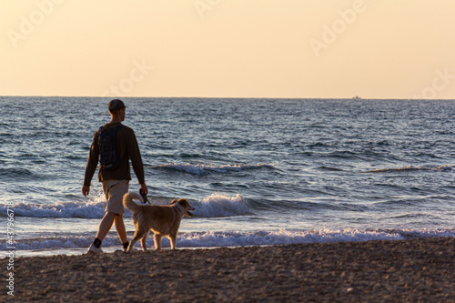 A man and a dog walking along the beach at sunset