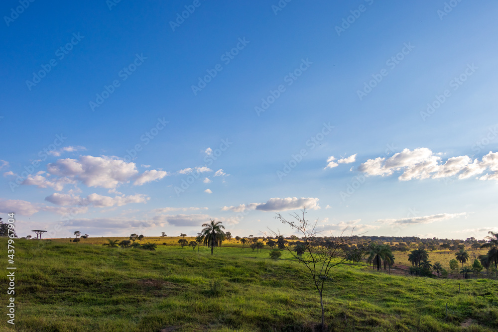 Paisagem rural com pasto verde sob o céu azul. Paisagem rural com pasto verde sob o céu azul.