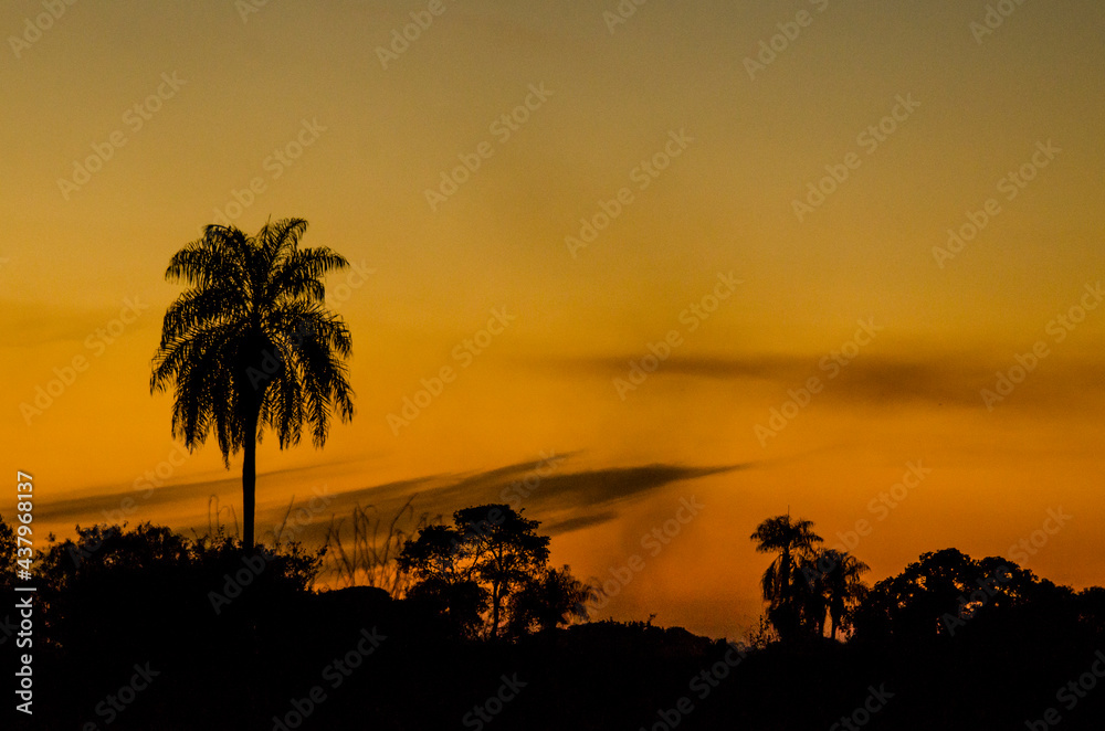Sunset at Brazil Pantanal