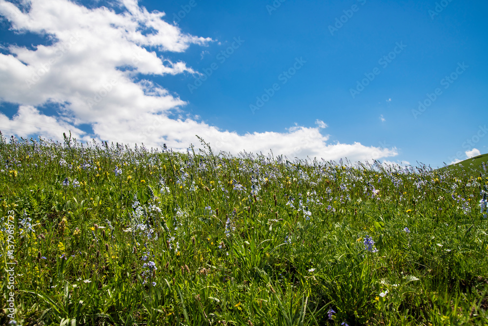 Spring landscape, beautiful green fields with flowers hills and mountains in the clear sunny day.