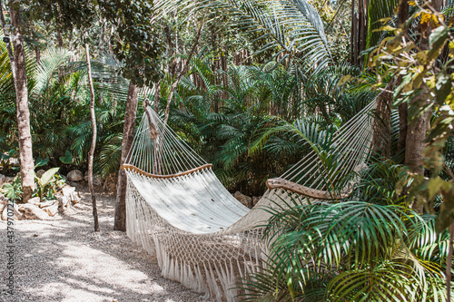 Beautiful hammock in the jungle. Relax in an eco hotel photo