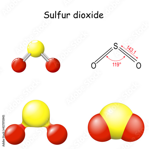 Sulfur dioxide molecule