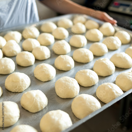 Pieces of raw dough on baking sheet. Round buns, cooking process. Baker holding a tray of rising yeast dough. Soft focus. Close up shot.