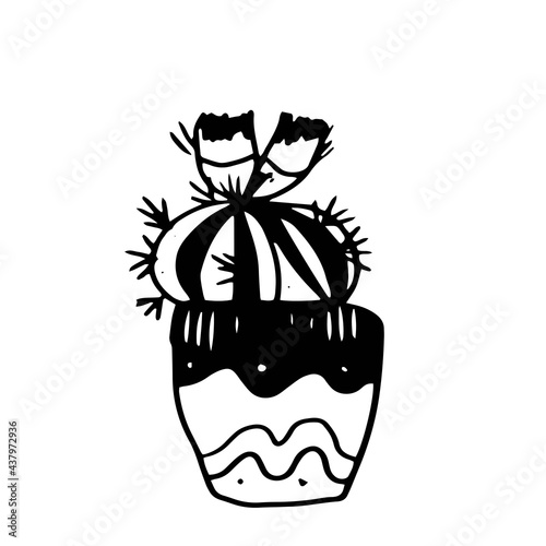 Cacti scandinavian style graphic vector illustration hand drawn doodle sketch set patern print textiles paper nature indoor plants in pots mexico exotic succulents. Boho hugo vintage