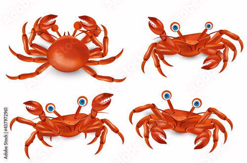 Red cute crab with big claws four different pose. Crab cartoon character. Sea creature icon. Vector illustration.
