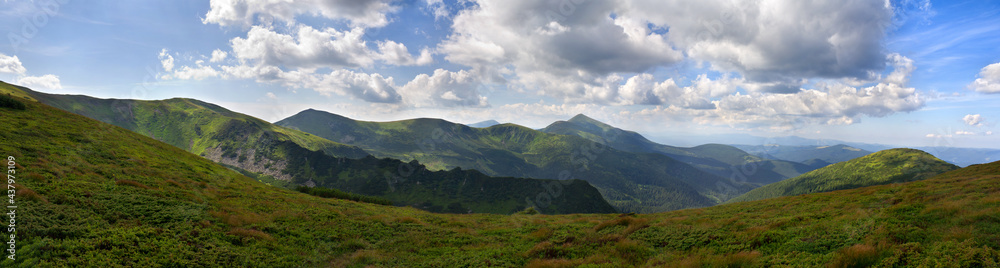 Beautiful mountain landscape panorama, the ridge mountain range of Chernogor in Ukraine, Mount Hoverla. Carpathian mountains in Ukraine in summer