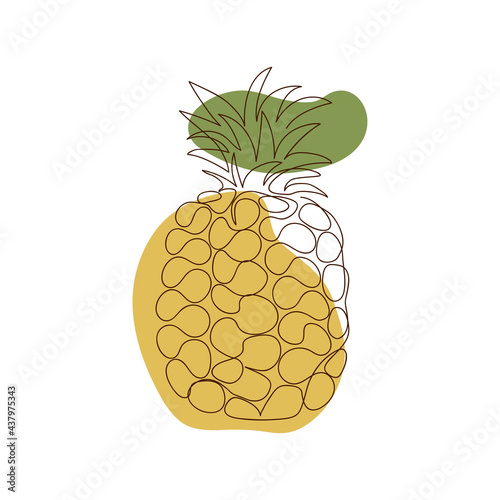 one whole pineapple with leaves drawn outline against a background of two abstract spots of light brown and green color on a white background