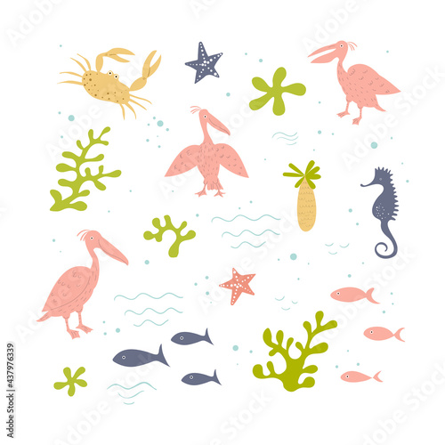 Vector set of pink pelicans and sea items. Marine theme. Hand drawn illusatration.