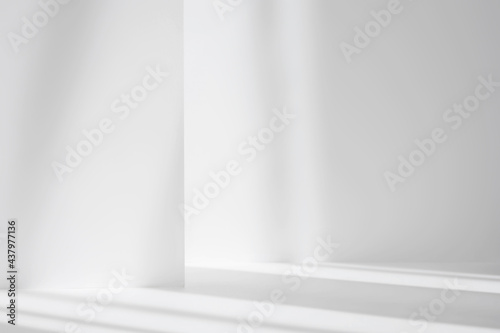 Fototapeta Naklejka Na Ścianę i Meble -  Abstract white studio background for product presentation. Empty gray room with shadows of window. Display product with blurred backdrop.